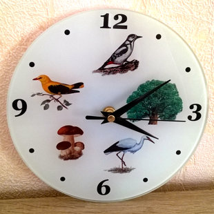 Sienas pulkstenis ar apdruku / 20 cm / 14 eur