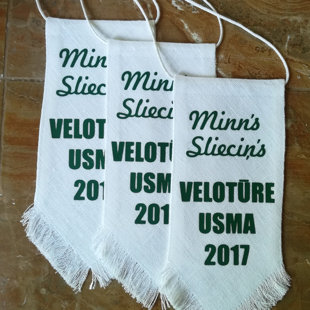 Lina vimpelis / 10 x 20 cm / 6 eiro